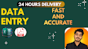do professional data entry, PDF to excel, web research