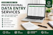 do accurate data entry, excel, copy paste and web research