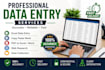 professional data entry services