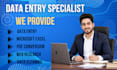 provide high quality data entry and excel work
