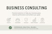 provide business consulting services