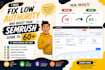 increase your semrush authority score to 50plus with strategic SEO