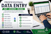 do web research and copy paste data