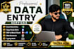 do professional data entry, excel, copy paste and PDF conversion