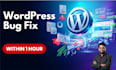 fix wordpress issues and bugs on your website