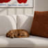 create photorealistic 3d interior renderings