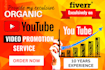 organic youtube promotion and marketing
