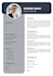 create a professional cv design