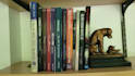 edit your memoir or narrative nonfiction