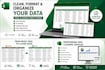 clean, format and organize excel data professionally