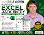 do microsoft excel data entry, PDF to excel, google sheets