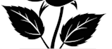 create custom rose tattoo design