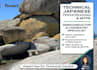 be your technical japanese proofreader and editor for mtpe