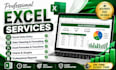 create and format professional excel spreadsheets and reports
