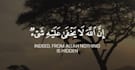 create quran verses videos with subtitles