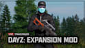 set up a custom dayz server with mods and scripts
