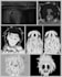 manga shonen, nsfw, adventure