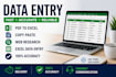 do accurate data entry, copy paste, PDF to excel and web resarch