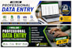 do professional data entry, copy paste, typing, and web research