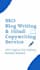 write SEO blog articles and hindi copywriting