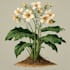 create detailed botanical illustrations and plant art