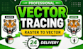 do manual vector tracing, raster to vector, logo vectorization