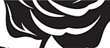 design amazing black and grey tattoo
