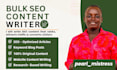 write bulk SEO articles, blog posts, and website content on your niche