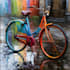 paint your cycle oil painting style