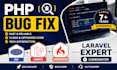 fix PHP laravel codeigniter bugs