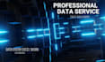 professional data entry and high quality content writing