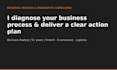 audit your business process and deliver an action plan