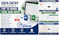 do accurate data entry and PDF conversion