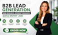 do any web research, internet research, data entry job