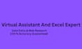 be your virtual assistant and excel data entry specialist