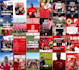 design a premium visual quality brochure