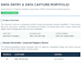 do professional data entry and flawless data capture