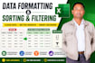 do data formatting, sorting and filtering on excel data