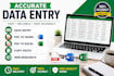 do accurate data entry,copy paste,pdf to word and excel