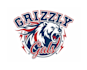 do make an grizzly  logo