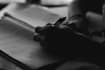 write profound philosophical articles and thought pieces