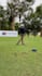 analyze your golf swing and create a personalized practice plan