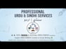 provide professional urdu and sindhi translation