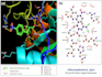 perform professional molecular docking and molecular dynamics simulation