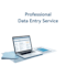 do accurate data entry and excel work
