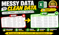 clean, format, organize and standardize excel spreadsheets professionally