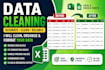 do data cleaning and data entry