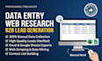 do web research, data entry, and b2b lead generation