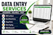 ido data entry, PDF to word, excel, typing and copy paste