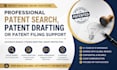 perform a professional patent search and provisional patent drafting